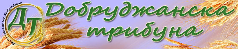 My Blog